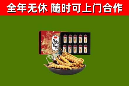 金城江区烟酒回收冬虫夏草礼盒.jpg